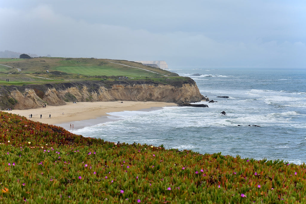 Discovering Half Moon Bay: A Journey through Time on California's Charming Coastline