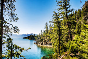 Visit Lake Tahoe in the Summer: Your Plan for a Blissful Vacation in the Mountains
