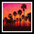 **(Wholesale) Sunset Palms Silk Scarf 35